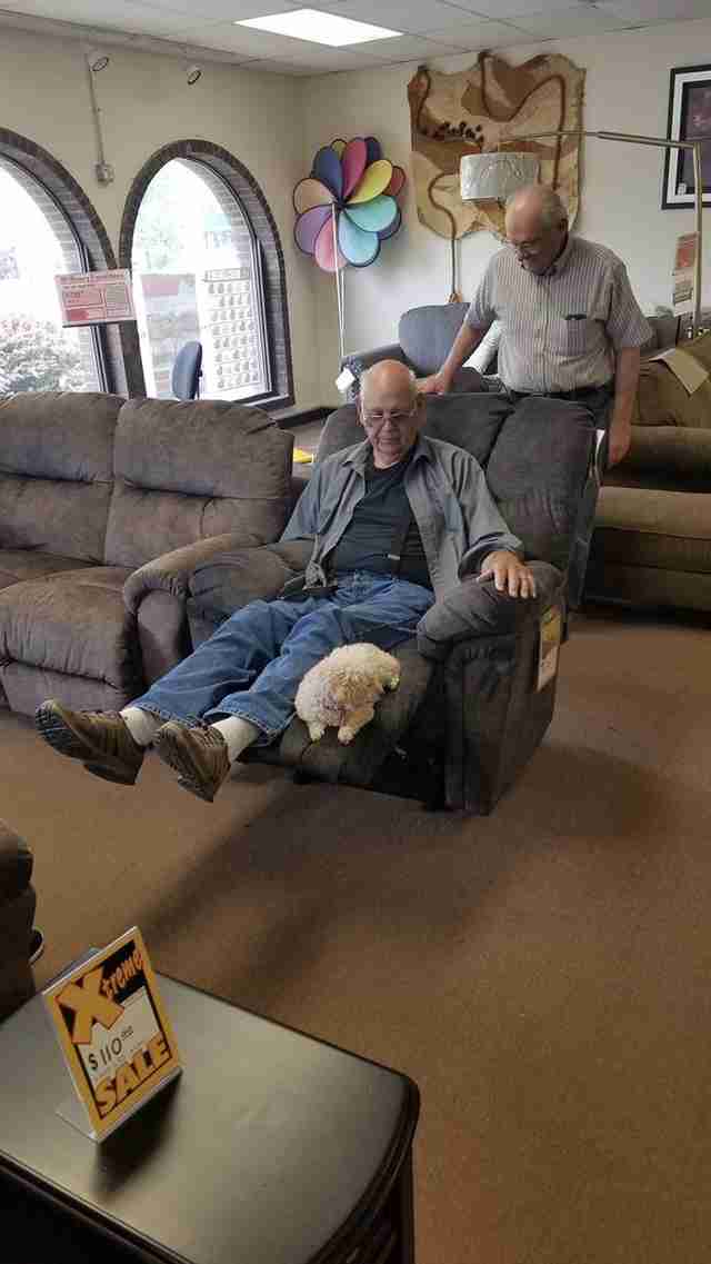 Dziadek przyniósł swojego psa do sklepu meblowego, aby upewnić się, że zaakceptowała ich nowe krzesło